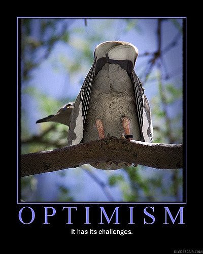 The Optimism bias