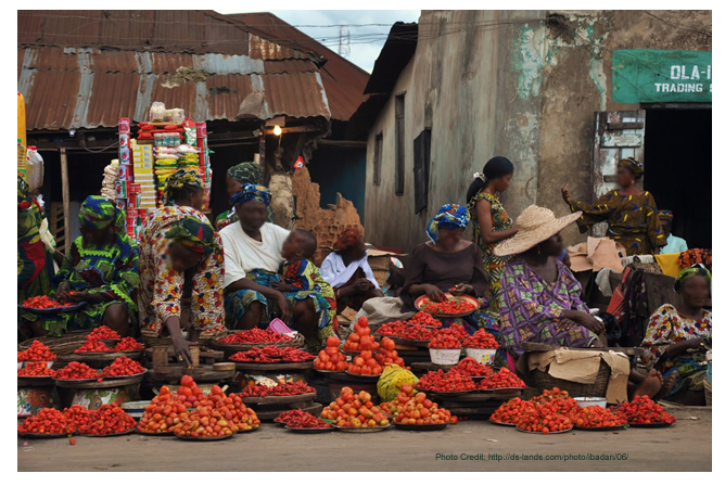 The Impact of Ecommerce on Rural Nigeria