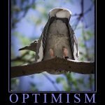 The optimism bias